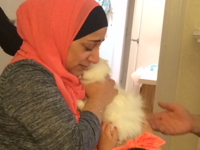 The Ali Dib Family reunited with their cats
