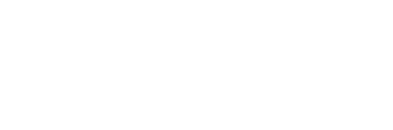 Escaping the Madhouse: The Nellie Bly Story