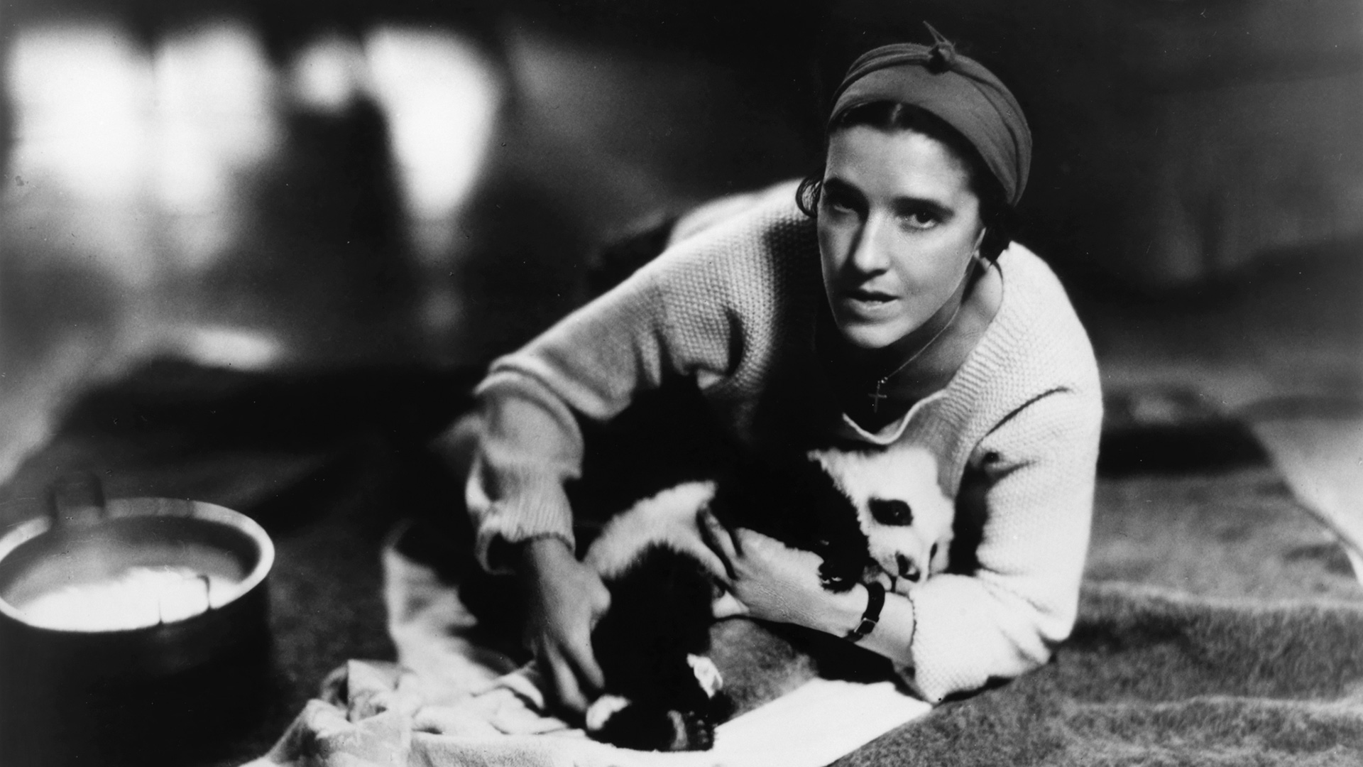 November 9, 1936: Ruth Harkness Became the First Person to Capture a Giant Panda and Bring It Back to the United States Alive