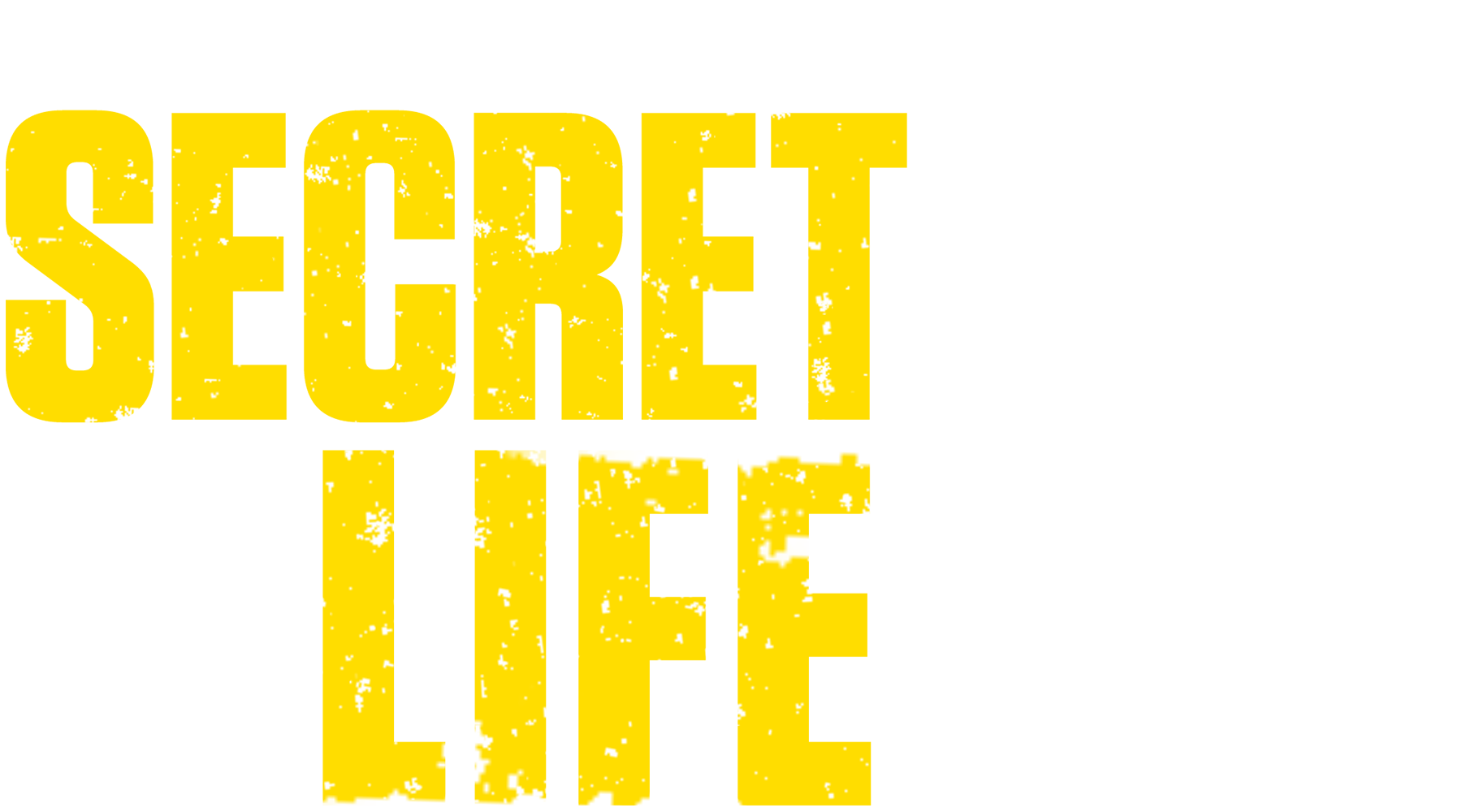 My Husband's Secret Life