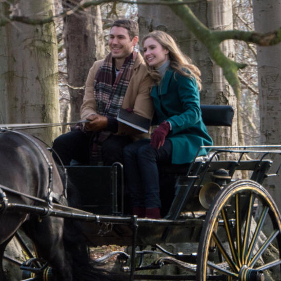 Christmas Perfection 2022 Christmas Perfection | Lifetime