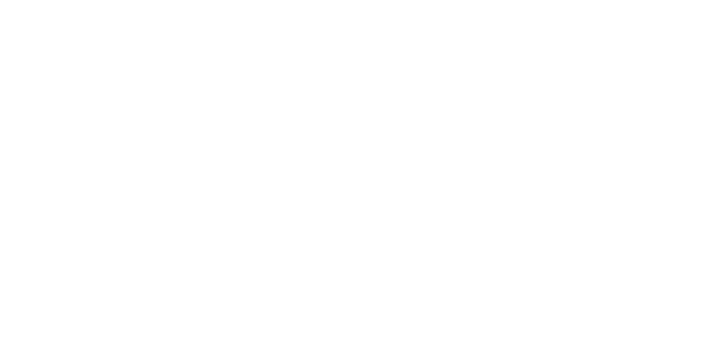 The Perfect Mother