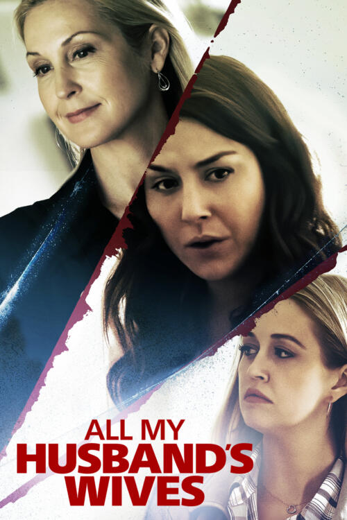 All My Husband's Wives