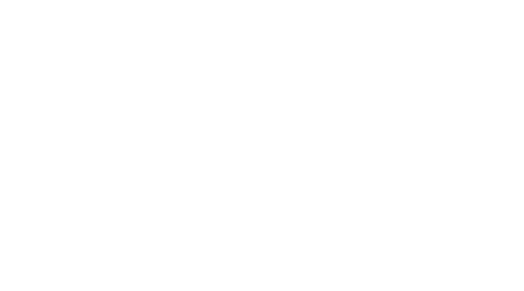 The Stranger She Brought Home