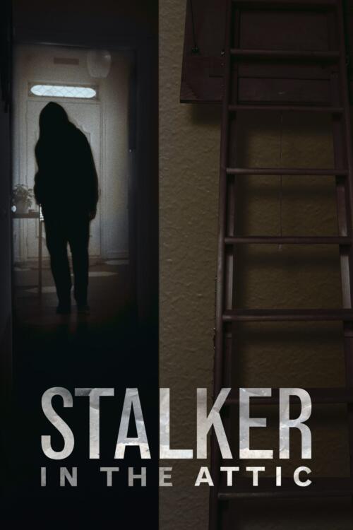 Stalker in the Attic