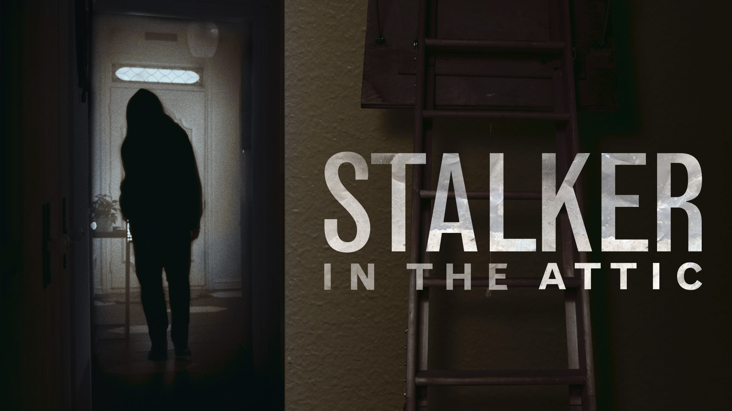 Stalker in the Attic