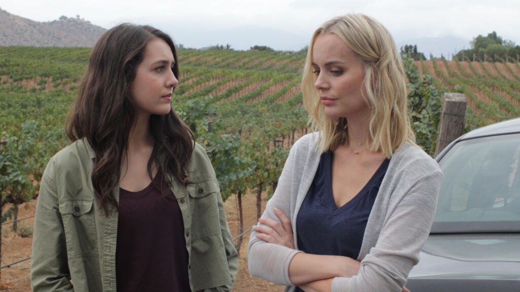 Murder in the Vineyard