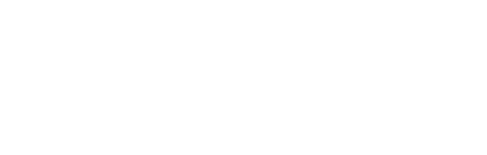 The Perfect Bride