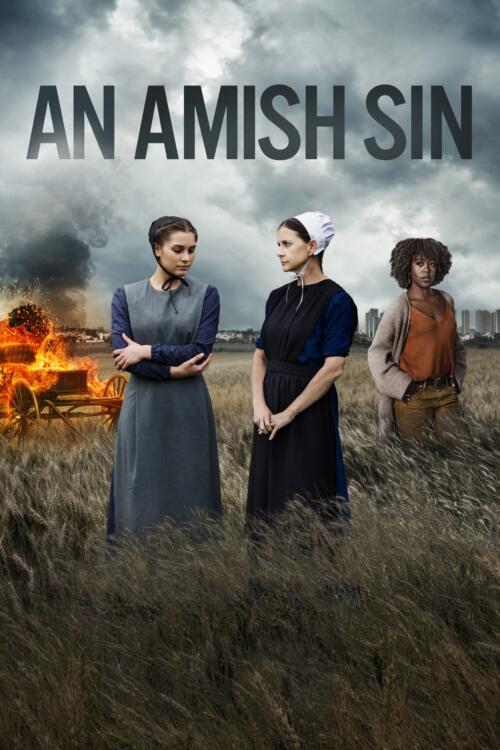 An Amish Sin