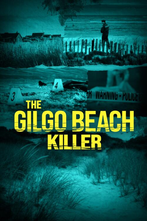 The Gilgo Beach Killer