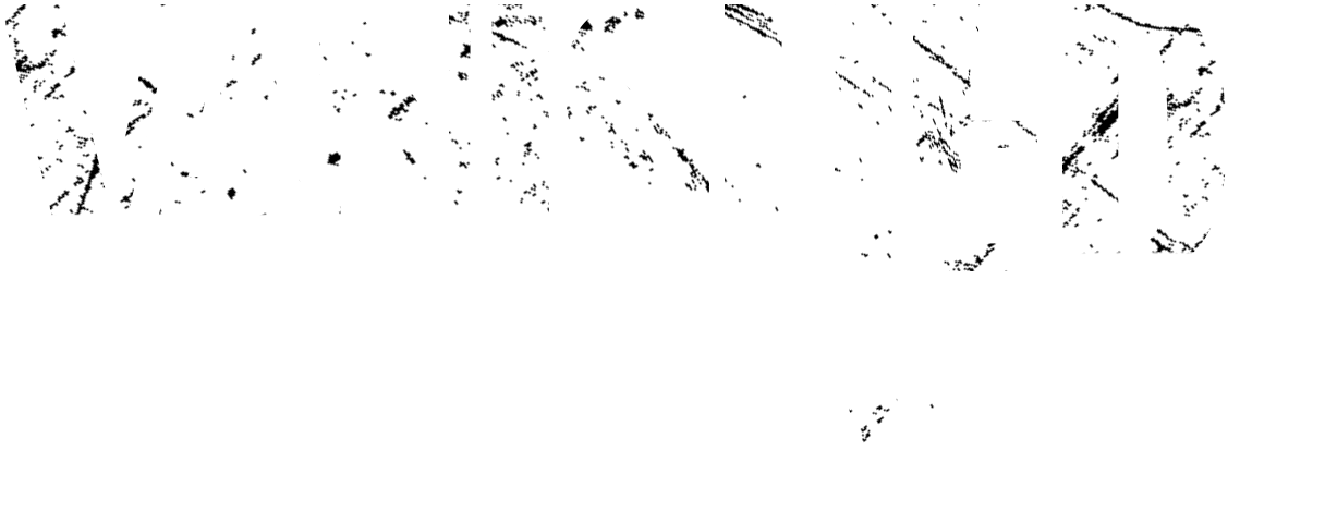 Vanished in Yosemite