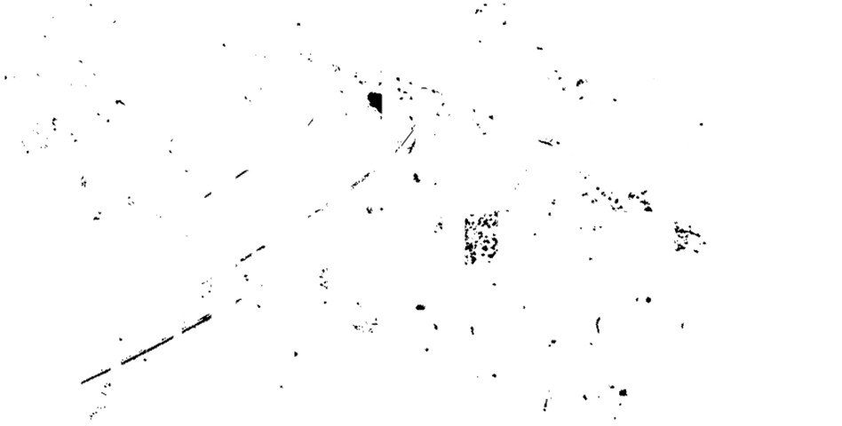 One Night Stand Murder