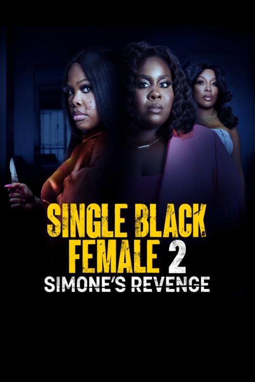 Single Black Female 2: Simone's Revenge