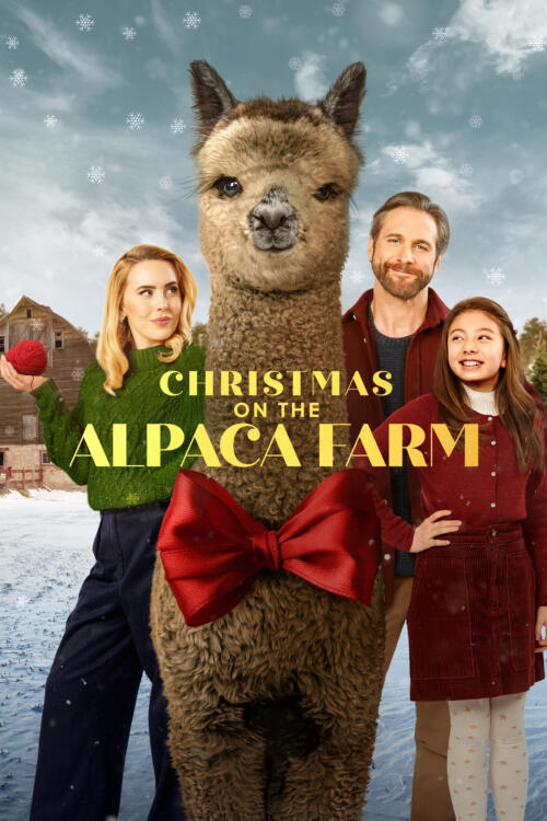 Christmas on the Alpaca Farm