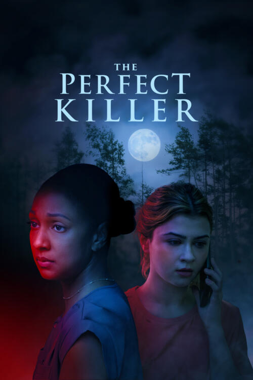 The Perfect Killer