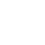 Wife Stalker