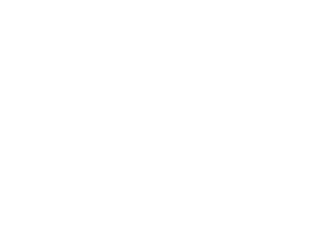 Girl in the Attic