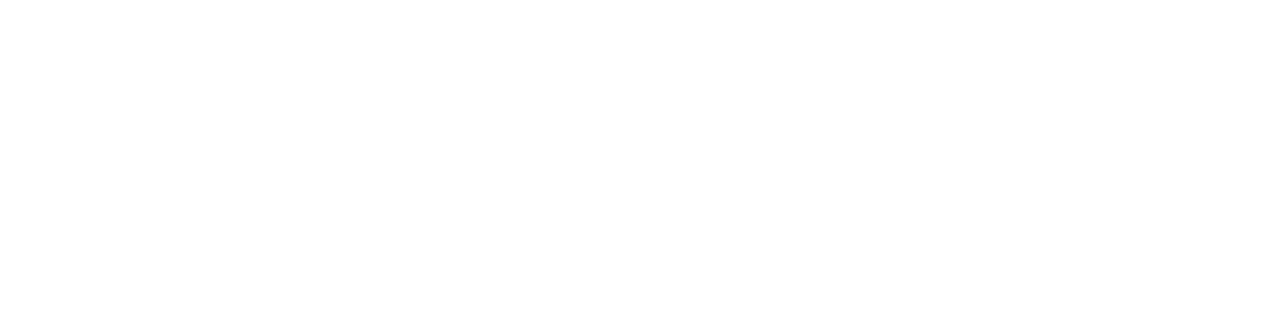 Secret Life of My Other Wife