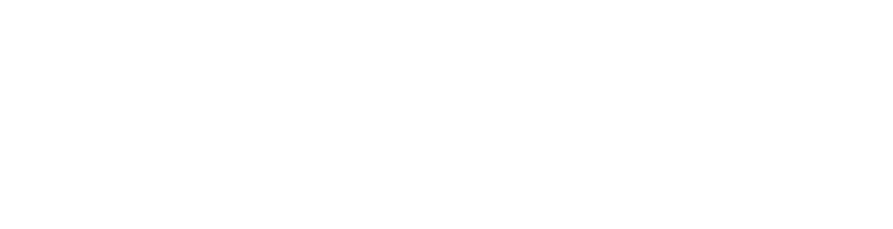 The Boy Who Vanished