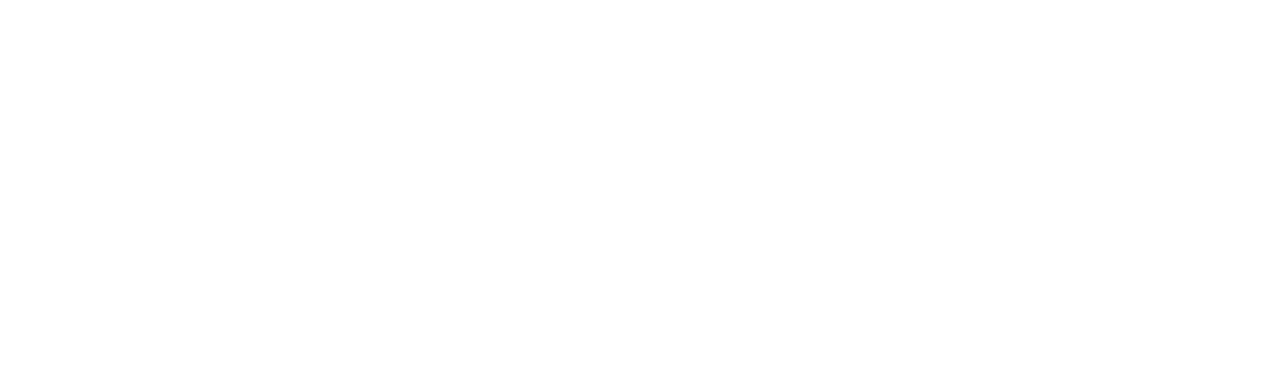 Terri Blackstock's If I Run