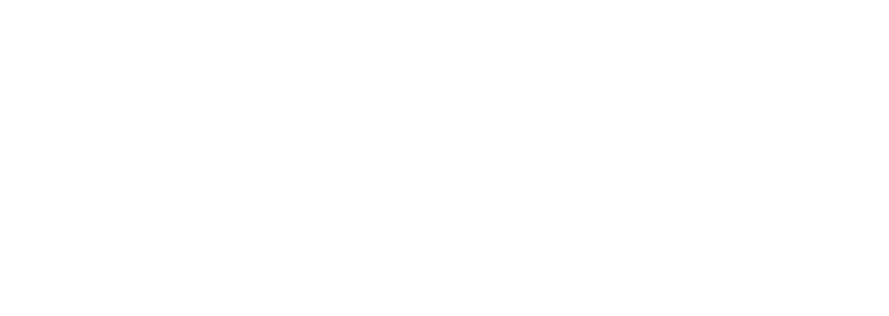 The Paradise Murders