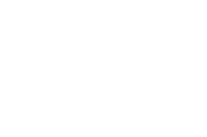The Child They Hid