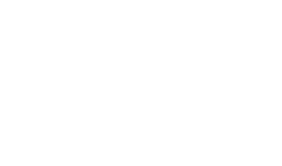Sole Survivor of Flight 119
