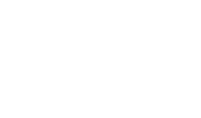 Sole Survivor Of Flight 119