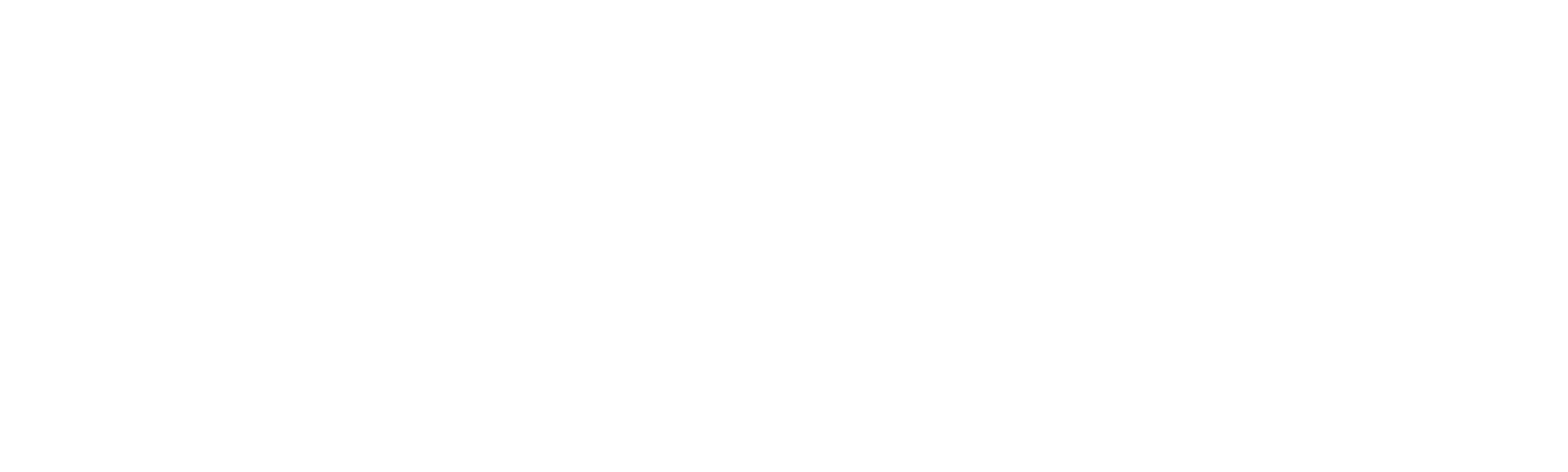 The Challenger Disaster