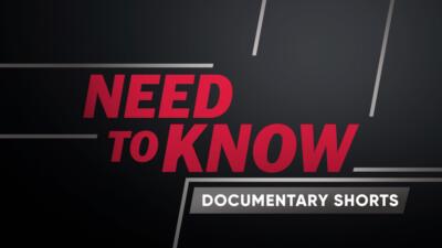 Watch Historical Documentaries Shows Online History Vault