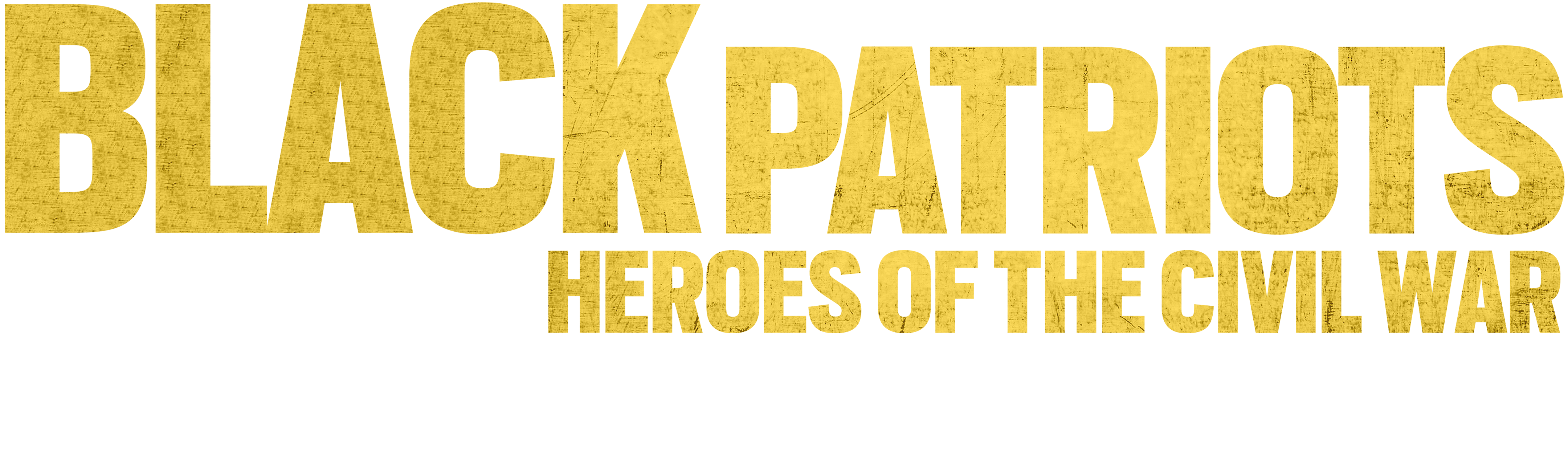 Black Patriots: Heroes of the Civil War