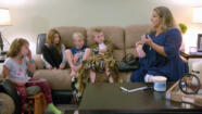 Watch Supernanny Season 8 Episode 8 Lifetime