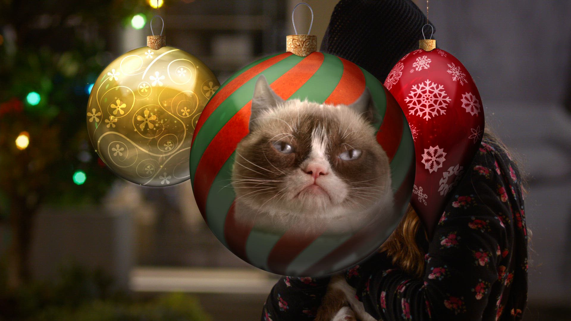 Grumpy Cat's Worst Christmas Ever