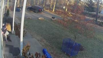 Episode 1 Welcome to the Parenthood