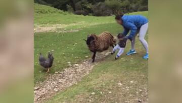 Episode 7 The Parenting Playbook