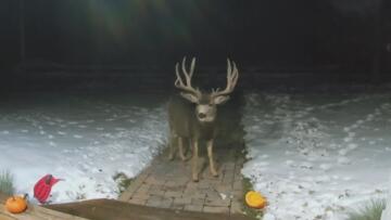 Episode 12 Mom-umental