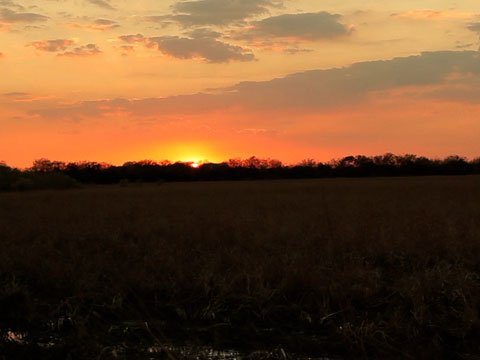 Watch Behind the Scenes - Night Hunting Clip | A&E