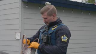 Make Yourself Known! (#906)