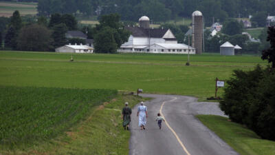 Murder in Amish Country (#701)