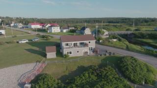 Janaya and Benoit (#217)