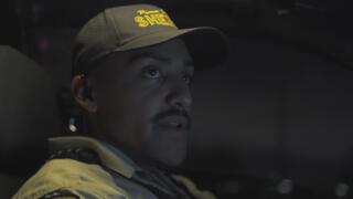 Truth, Lies and Cacti