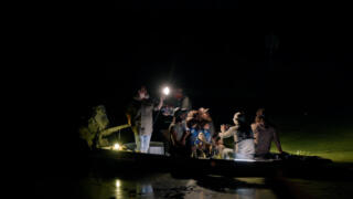 Swamp Kings and Queen Bees