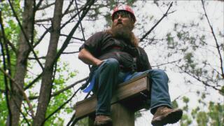 Willie Stay or Willie Go