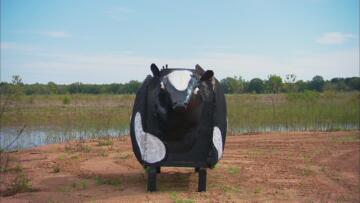 Episode 9 The Big LeCOWski