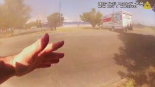 Fugitives Caught on Tape (#201)