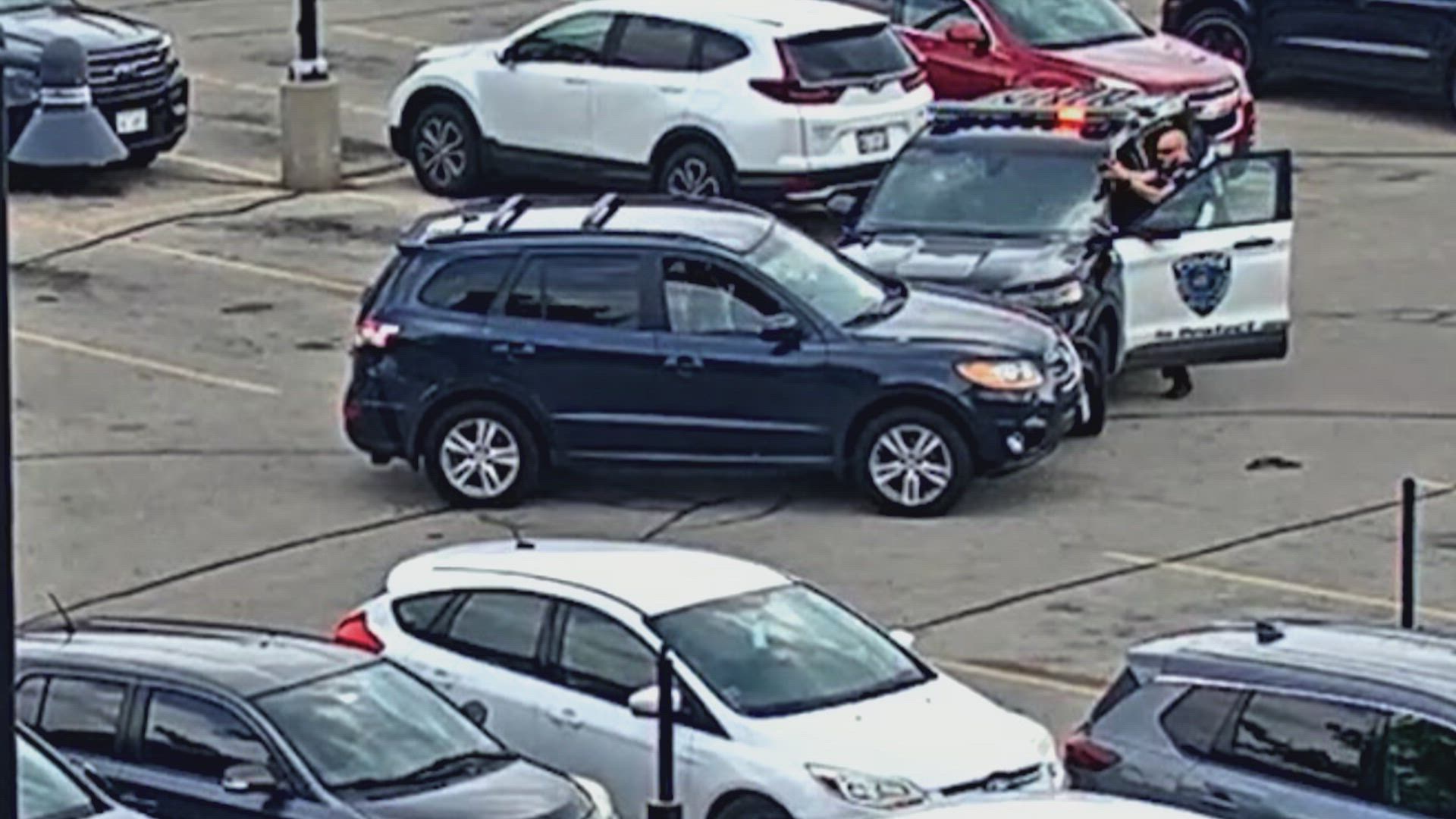 Children, Have You Caught Anything?, image size:1920x1080