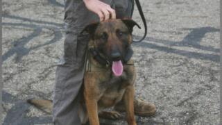 Final Warning (#107)