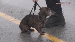 Live PD: Rewind - 603