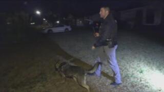 Live PD: Greatest Shifts - 614