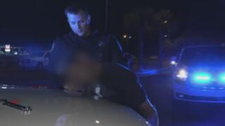 Live PD: Greatest Shifts - 630